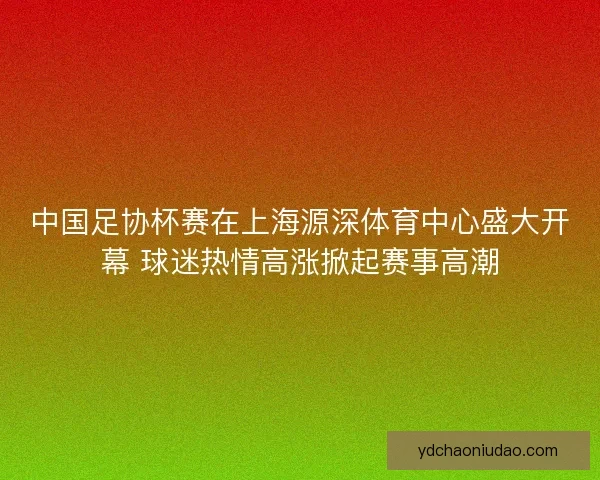 中国足协杯赛在上海源深体育中心盛大开幕 球迷热情高涨掀起赛事高潮